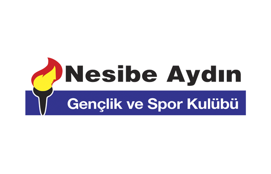 Nesibe Aydın Basketbol